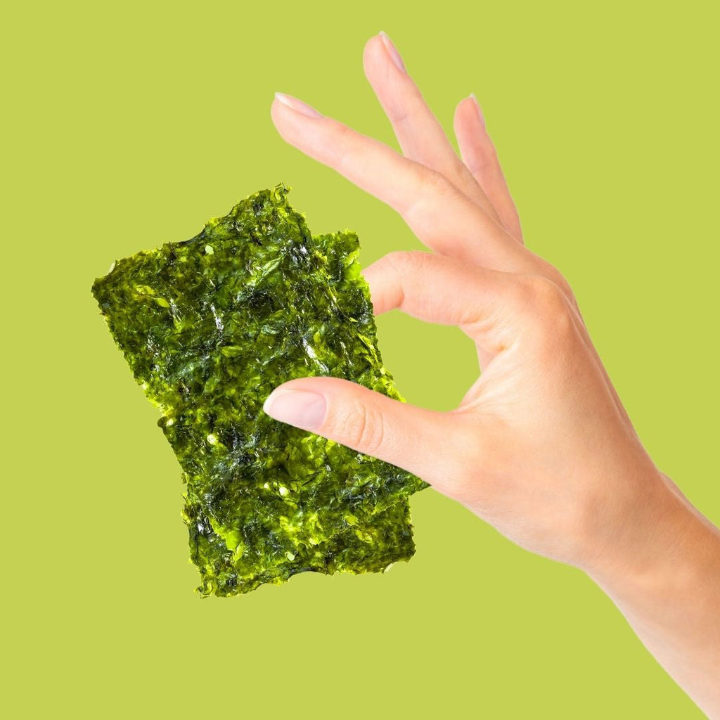 Hand holding organic olive oil seaweed