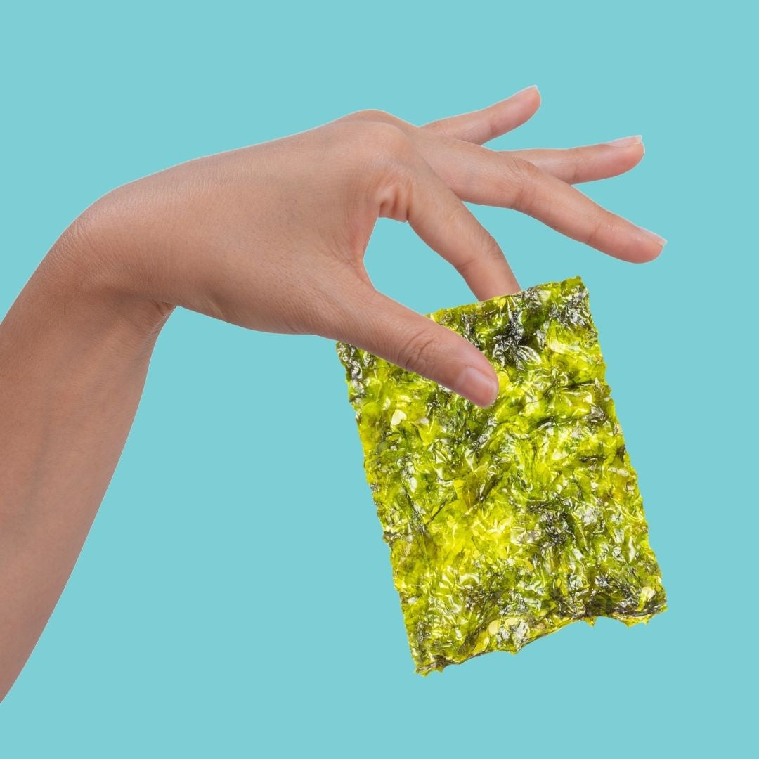 Hand holding organic sea salt seaweed