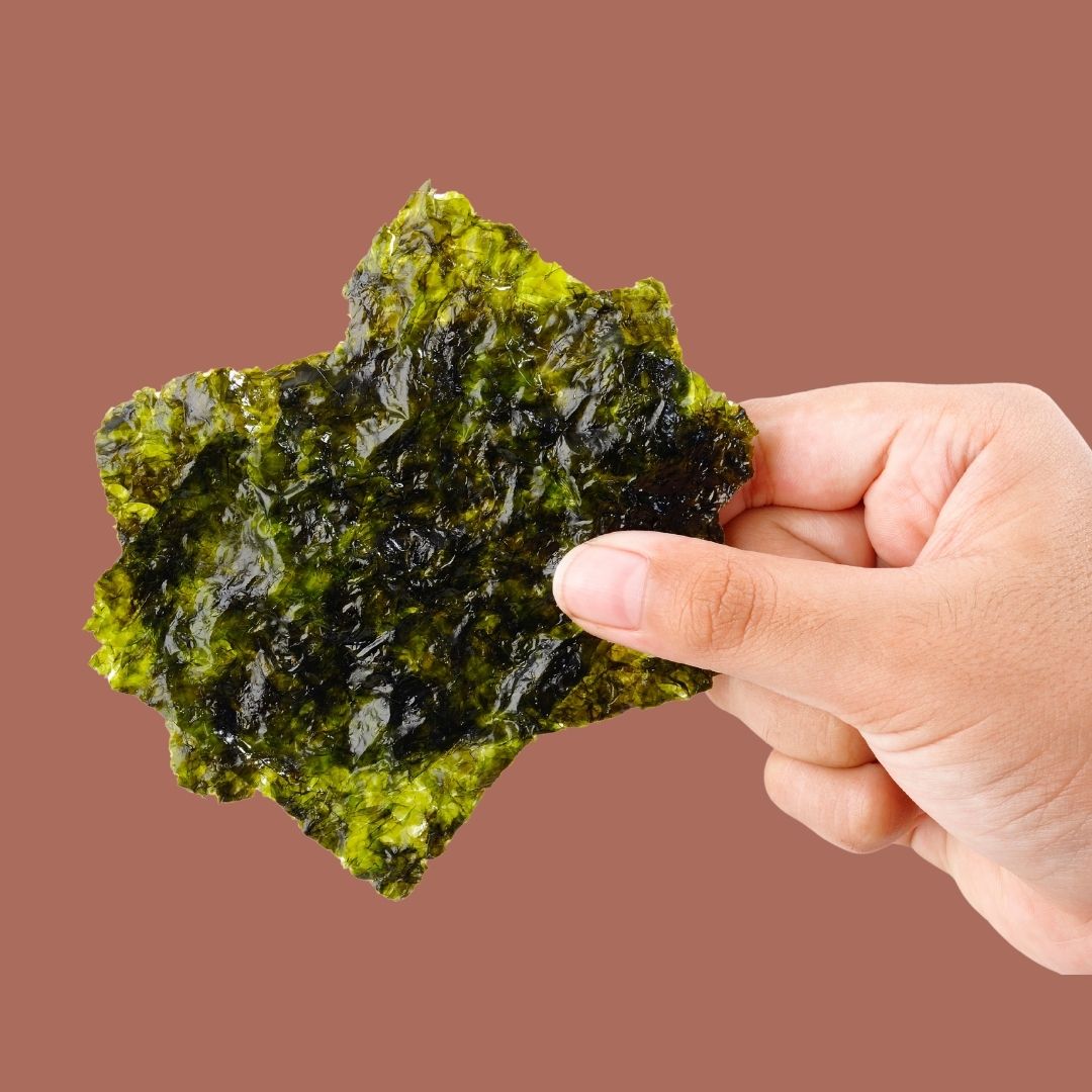 Hand holding crispy shiitake seaweed